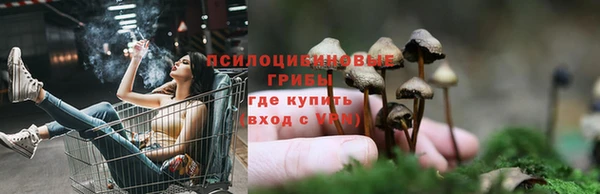 гашик Наволоки