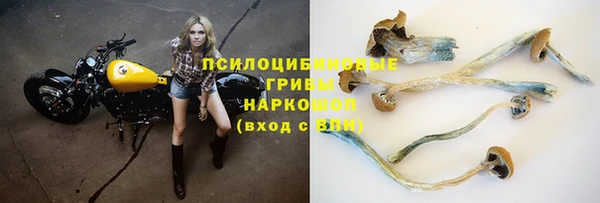 гашик Наволоки