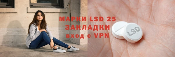 ПСИЛОЦИБИНОВЫЕ ГРИБЫ Надым
