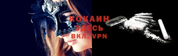 гашик Наволоки