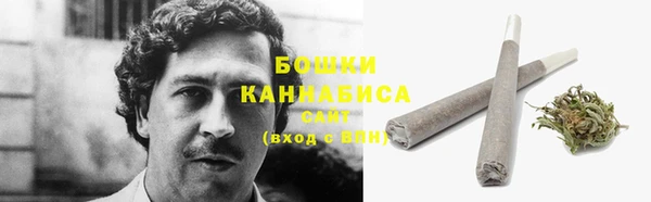 ПСИЛОЦИБИНОВЫЕ ГРИБЫ Надым