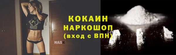 гашик Наволоки