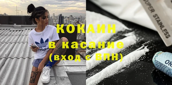шишки Михайловск