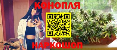 сатива Изобильный