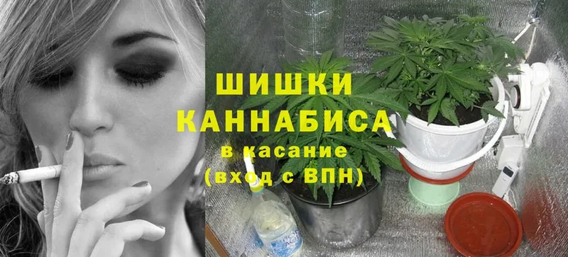 kraken онион  как найти закладки  Холмск  Конопля семена 